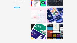 Developer  开发商