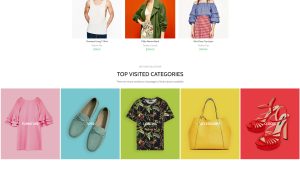 Fashion Color  时尚服饰