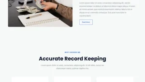 Chartered Accountant