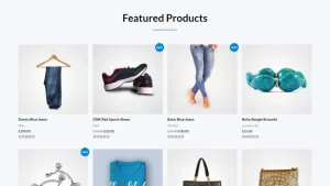 Brandstore 品牌商店