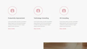 Business Consultancy Firm