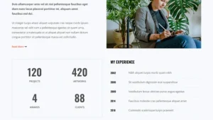 Calligraphy Artist 书法家