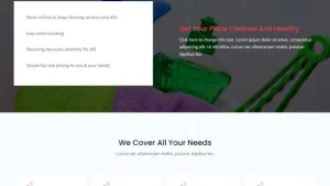 Cleaning Services