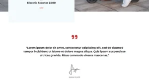 Electric Scooter