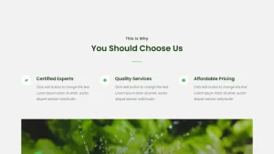 Garden Maintenance