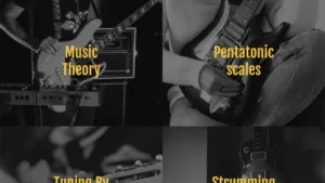 Guitarist 吉他手
