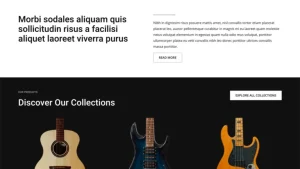 Musical Instruments 乐器