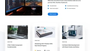 Online Programming Course