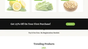 Organic Store 有机商店