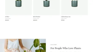 Plant Shop 植物商店