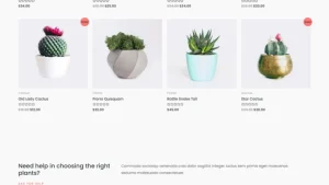 Simply Natural 简单自然