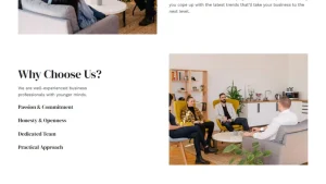 Professional Services