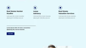 Real Estate Consultant 房地产顾问