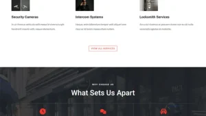 Security Services 保安服务