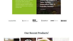 Ayurveda 阿育吠陀