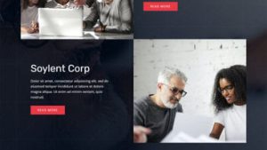 Consultants Firm