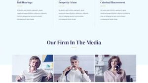 Criminal Lawyer 刑事律师