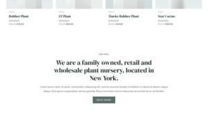 eGrow Plants