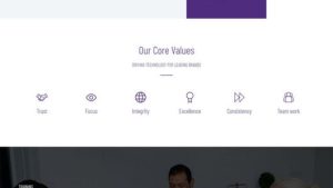 Financial Advisors 财务顾问