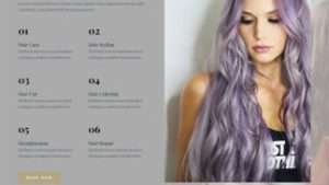 Hairdressers and Hair Salons 理发师和发廊
