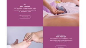 Massage Therapist 按摩师