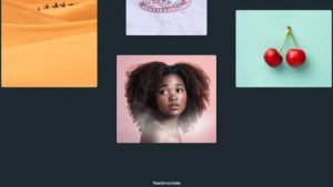 Photographer Portfolio 摄影师作品集