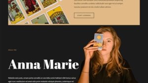 Tarot Card Reader 塔罗牌占卜师