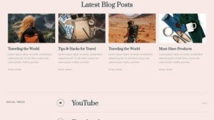 Vlogger 视频博客