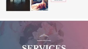 Wedding Planner 婚礼策划