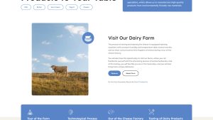 Organic Farm 有机农场