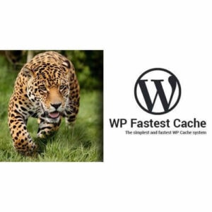 【免费】最新WP Fastest Cache下载(Premium), v1.7.1, GPL, 缓存插件